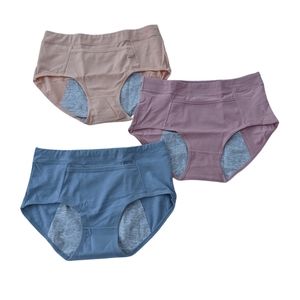 Women's Hipster Period Underwear Postpartum, 3 pack NWOT